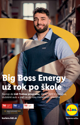 Leták Lidl
		  platný do 18.5.2025 - strana 85