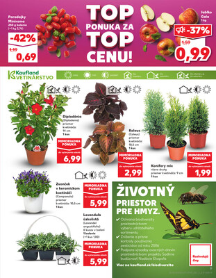 Kaufland 15.5. - 21.5. - Kaufland Žilina