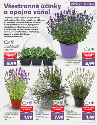 Kaufland 12.6. - 18.6. - Kaufland Bratislava - Podunajské Biskupice