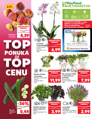 Kaufland 19.6. - 25.6. - Kaufland Brezno