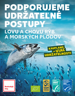 Kaufland 31.7. - 6.8. - Kaufland Martin