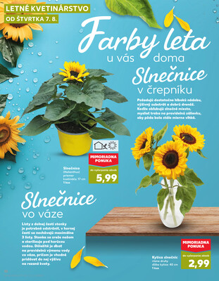 Kaufland 7.8. - 13.8. - Kaufland - Pezinok-Grinava