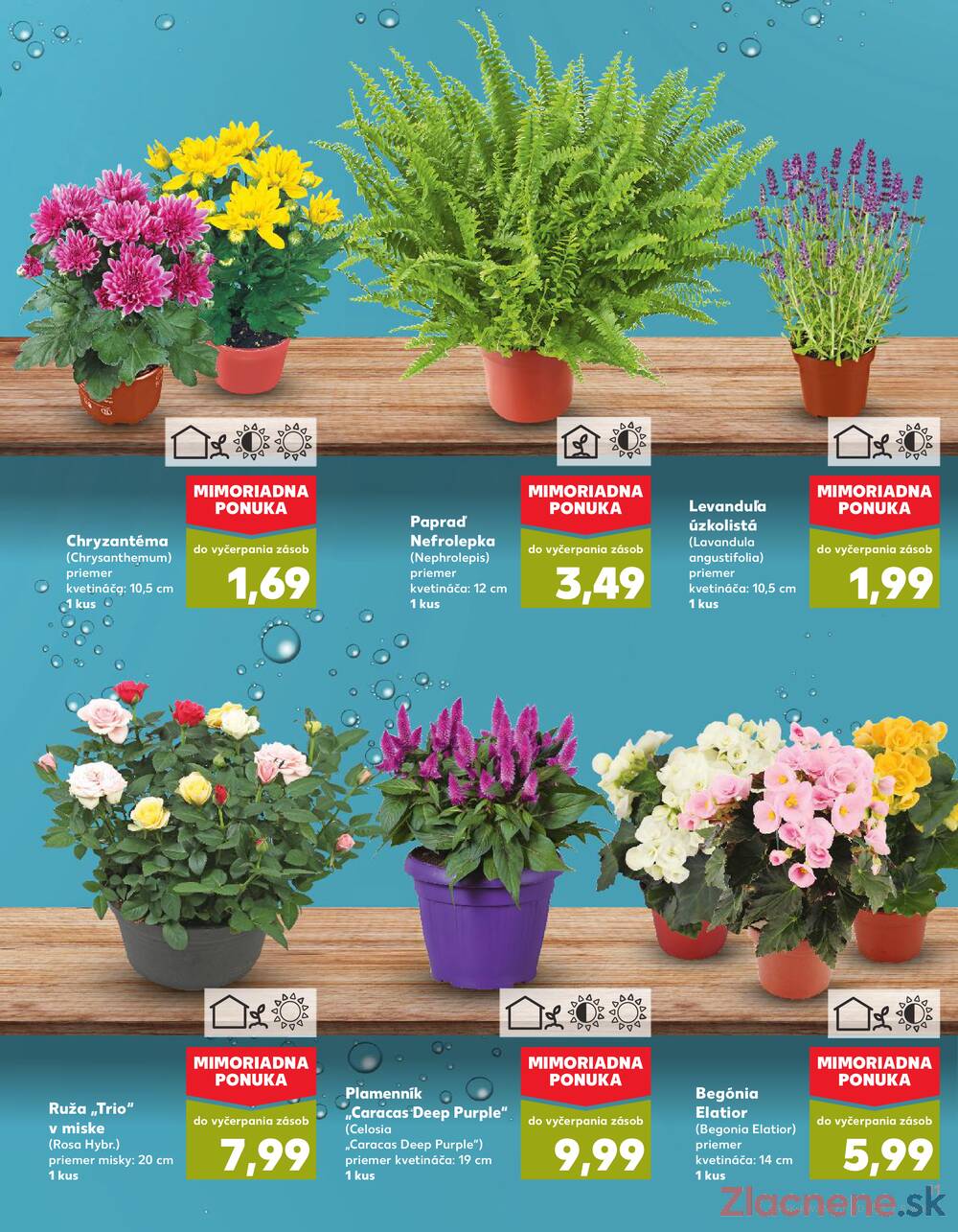 Leták Kaufland - Kaufland 7.8. - 13.8. - Kaufland Nitra-Chrenova - strana 11
