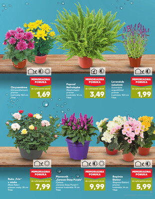Kaufland 7.8. - 13.8. - Kaufland Skalica - Mallého