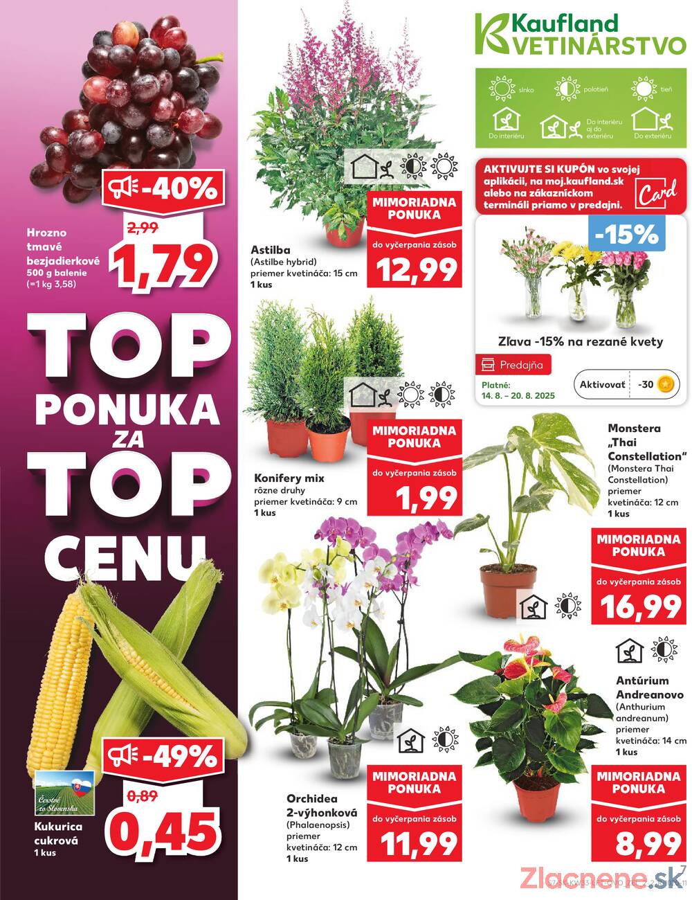 Leták Kaufland - Kaufland 14.8. - 20.8. - Kaufland (A. H. Škultétyho, Veľký Krtíš) - strana 7
