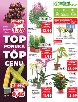 Kaufland 14.8. - 20.8. - Kaufland Prešov - Sekčov 