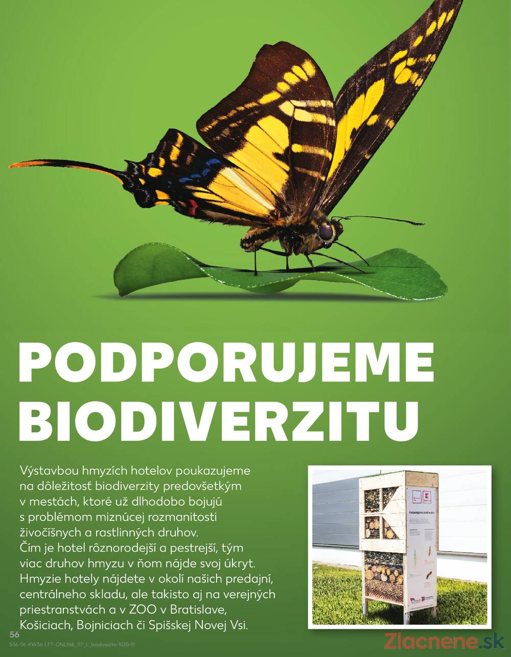 Leták Kaufland - Kaufland 4.9. - 10.9. - Kaufland Michalovce - strana 56