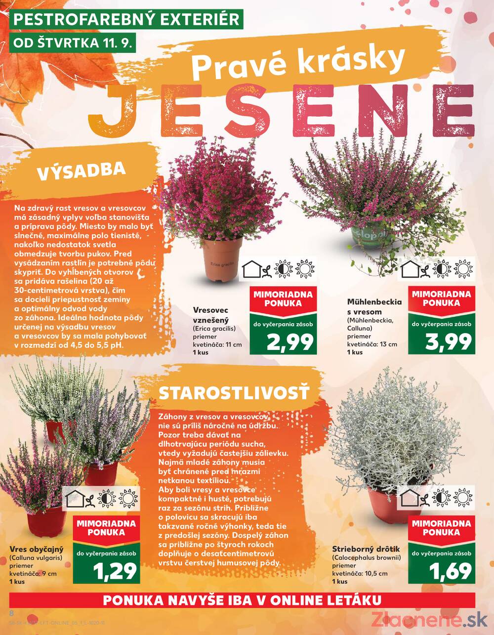 Leták Kaufland - Kaufland 11.9. - 17.9. - Kaufland Veľký Meder - strana 8