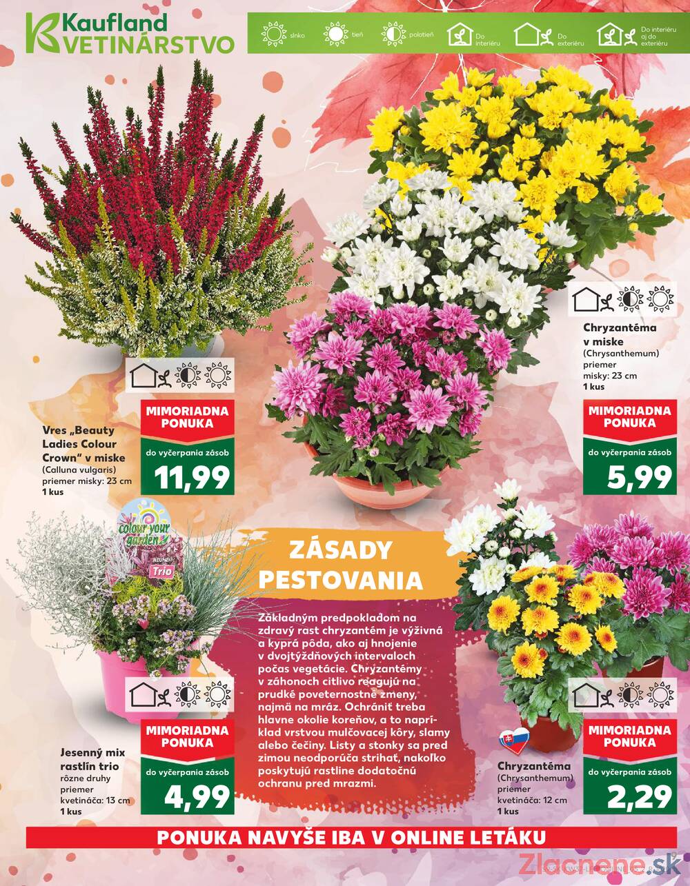 Leták Kaufland - Kaufland 11.9. - 17.9. - Kaufland Zlaté Moravce - strana 9