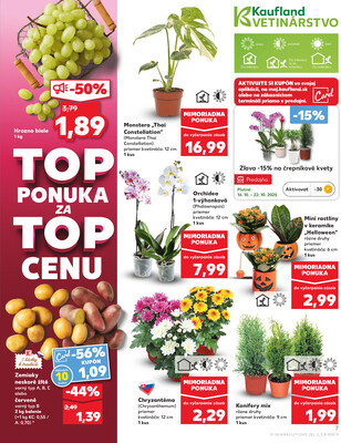 Kaufland 16.10. - 22.10. - Kaufland Zlaté Moravce