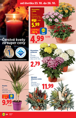 Leták Lidl
		  platný do 26.10.2025 - strana 84