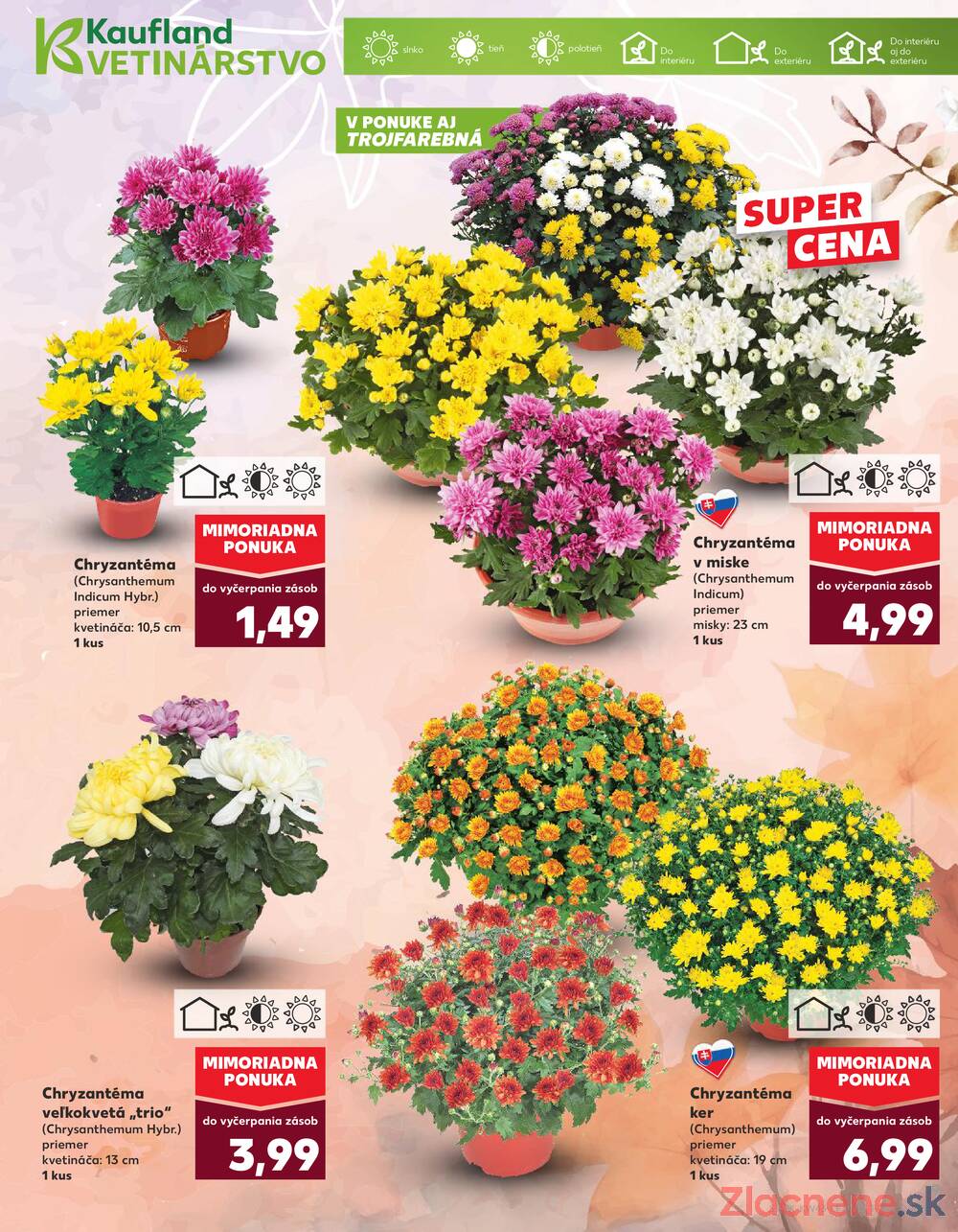 Leták Kaufland - Kaufland 23.10. - 29.10. - Kaufland Trnava - Nová ul. - strana 9 Leták Kaufland - Kaufland 23.10. - 29.10. - Kaufland Trnava - Nová ul. - strana 9