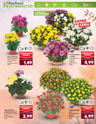 Kaufland 23.10. - 29.10. - Kaufland Trnava - Nová ul.