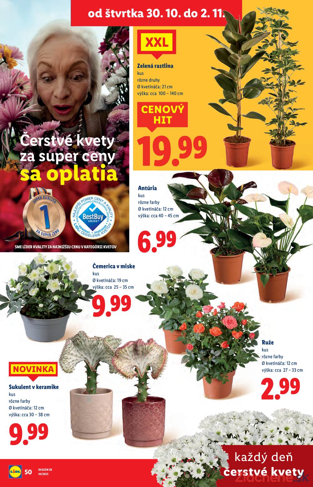 Leták Lidl
		  platný do 2.11.2025 - strana 77