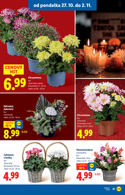 Leták Lidl
		  platný do 2.11.2025 - strana 41