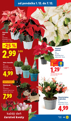 Leták Lidl
		  platný do 7.12.2025 - strana 49