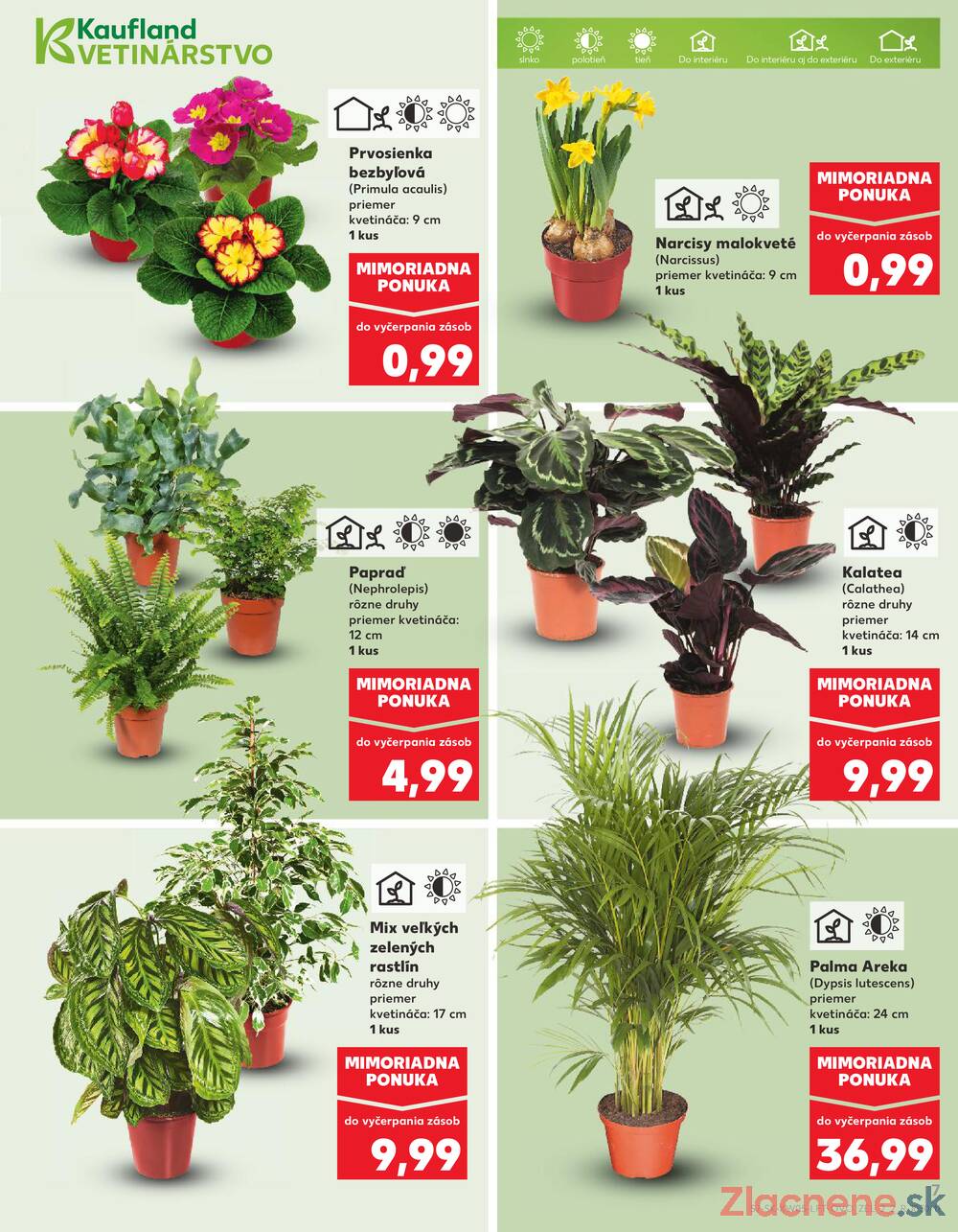 Kaufland 29.1. - 4.2. - Kaufland Galanta