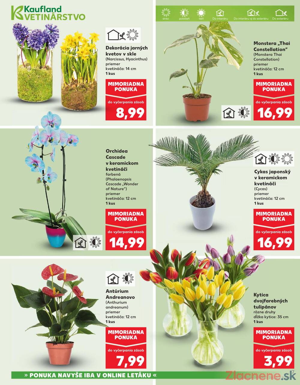 Kaufland 5.2. - 11.2. - Kaufland Lučenec