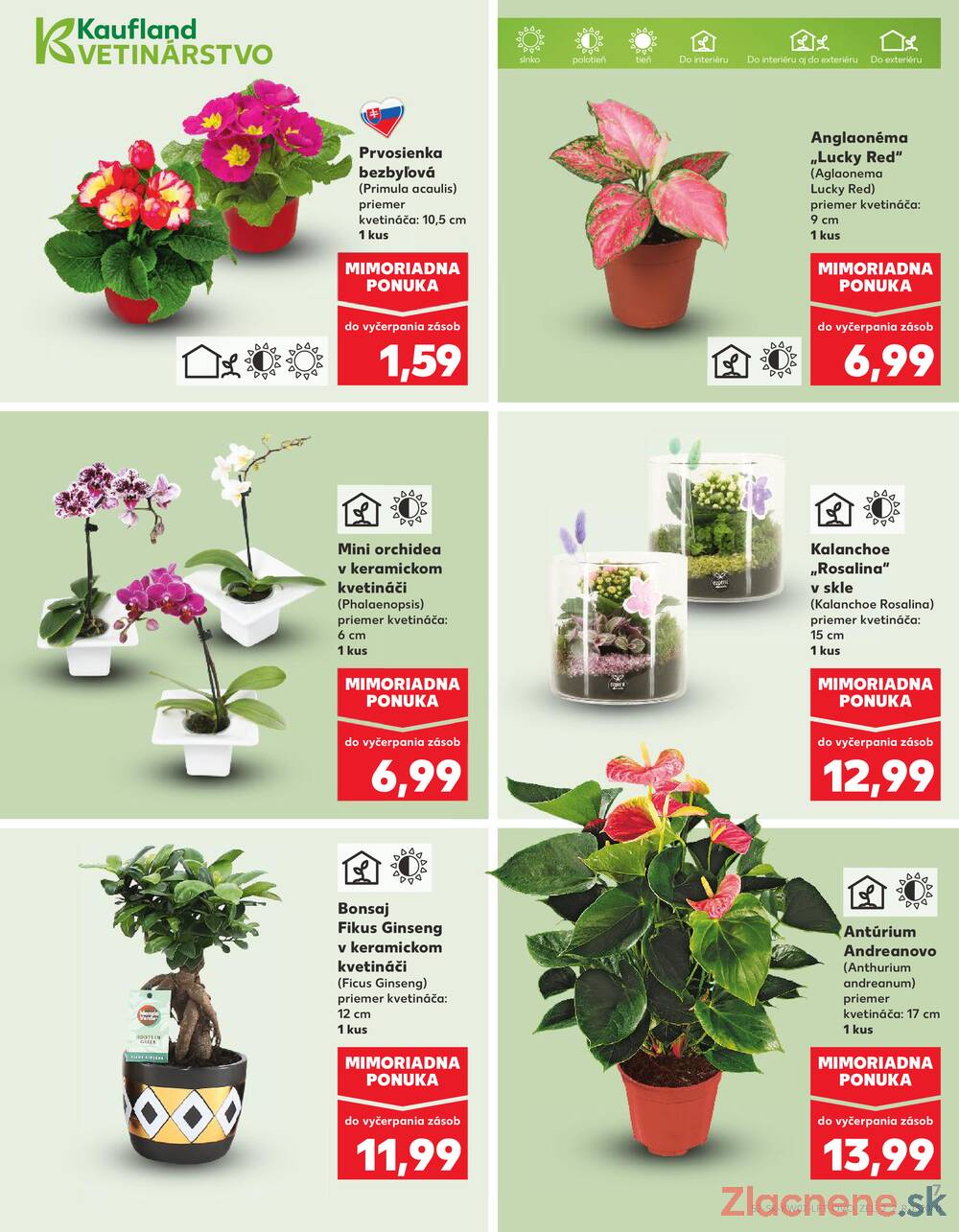 Kaufland 12.2. - 18.2. - Kaufland Ružomberok