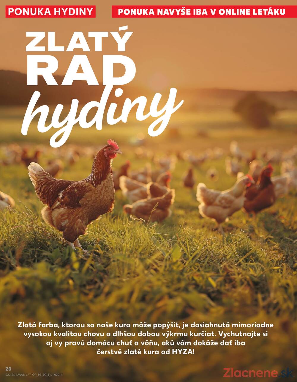 Kaufland 19.2. - 25.2. - Kaufland Zlaté Moravce