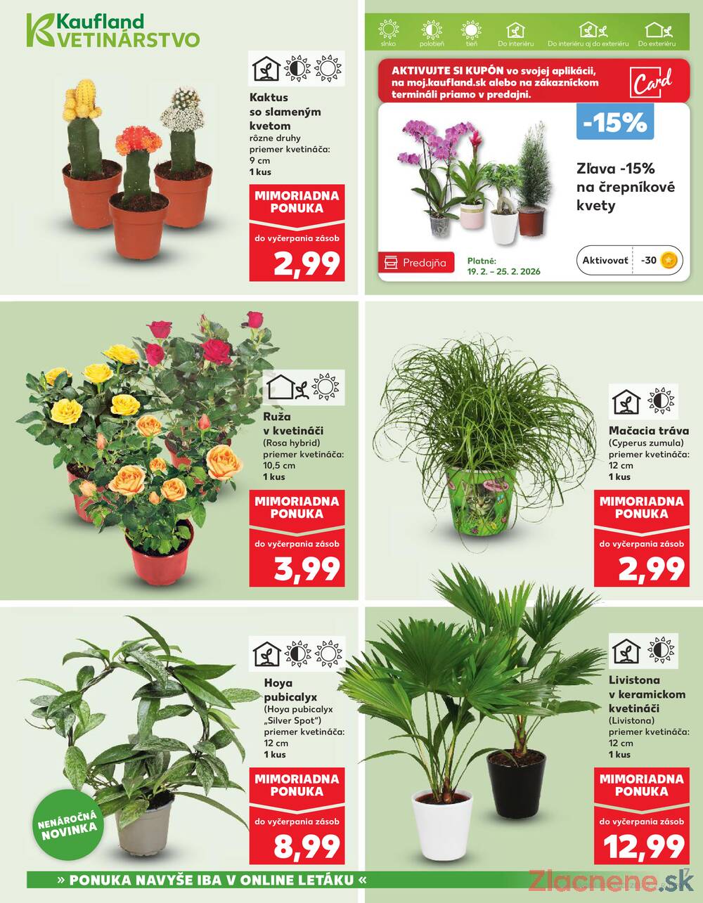 Kaufland 19.2. - 25.2. - Kaufland Trnava