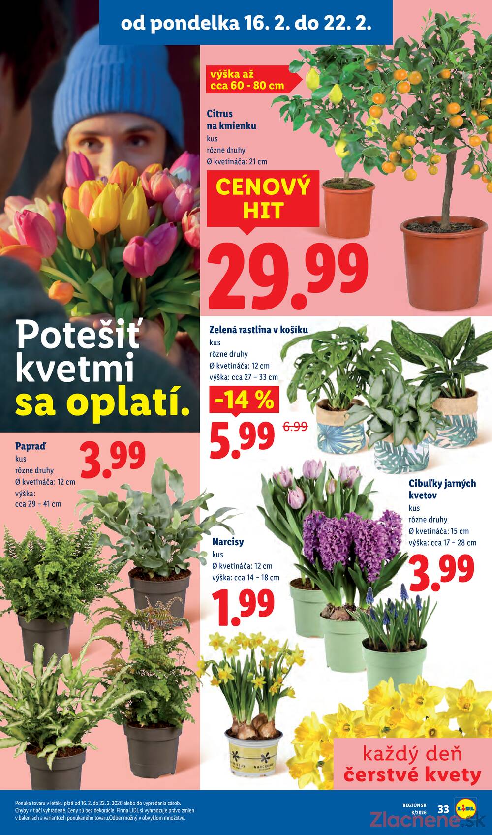 Lidl Štvrtok do 22.2.