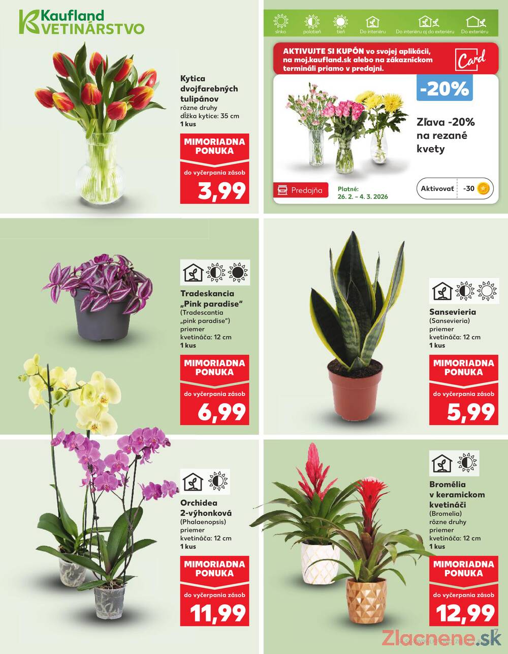 Kaufland 26.2. - 4.3. - Kaufland Dunajská Streda