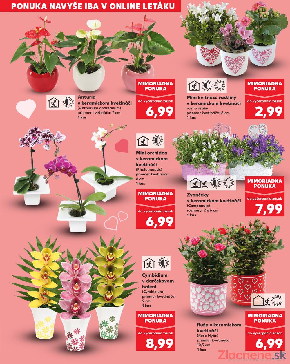 Kaufland 5.3. - 11.3. - Kaufland Dubnica nad Váhom