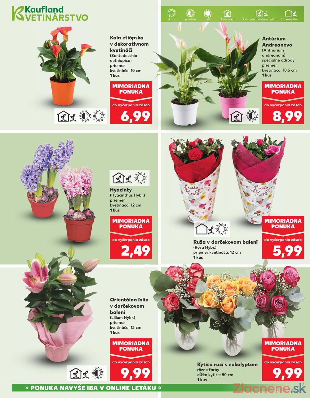 Kaufland 5.3. - 11.3. - Kaufland Trnava - Nová ul.