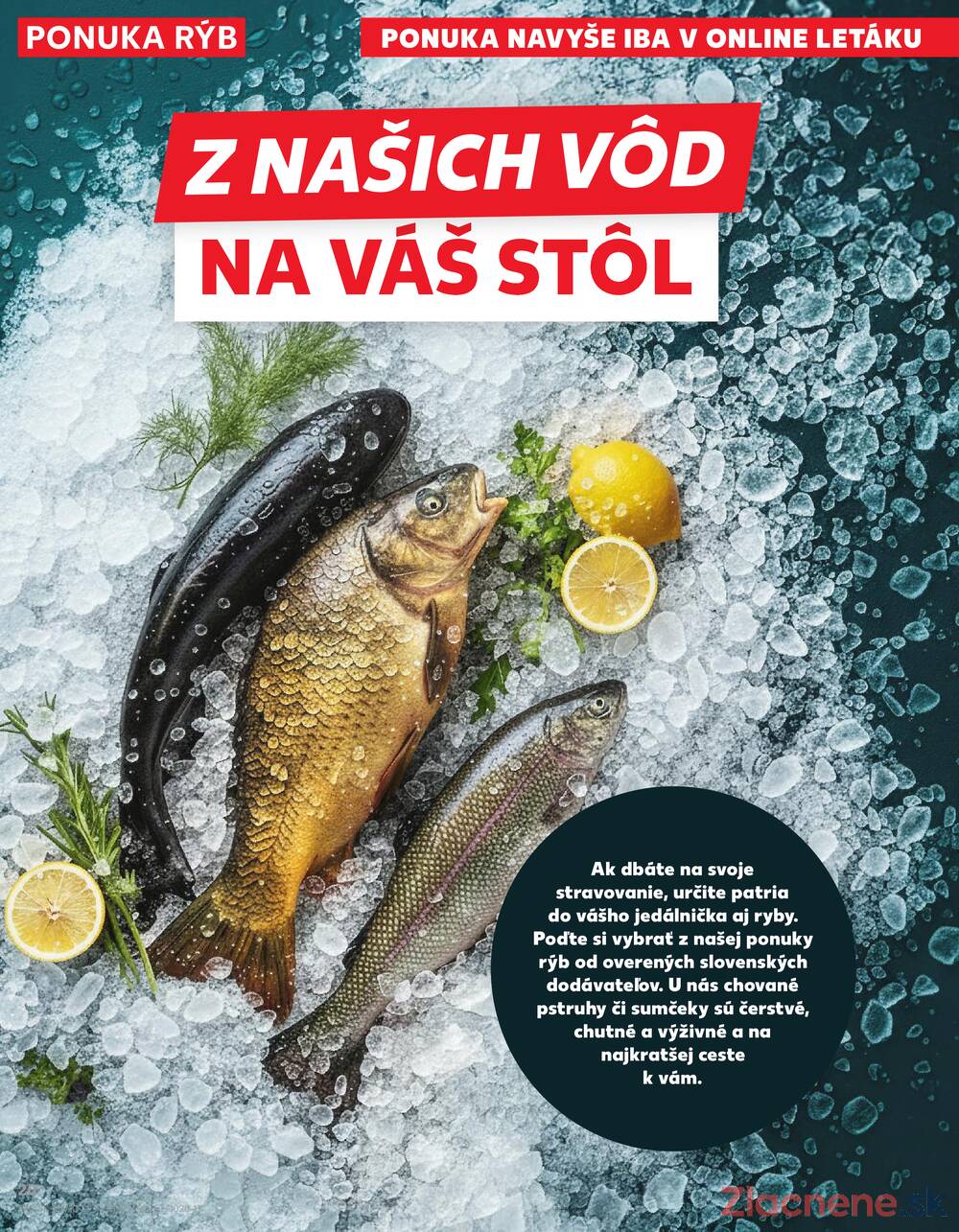 Kaufland 5.3. - 11.3. - Kaufland Ružomberok