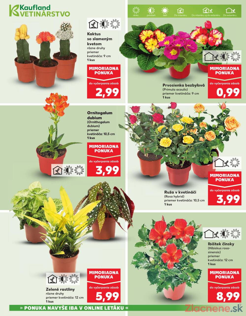 Kaufland 12.3. - 18.3. - Kaufland Prešov - Sídlisko 3