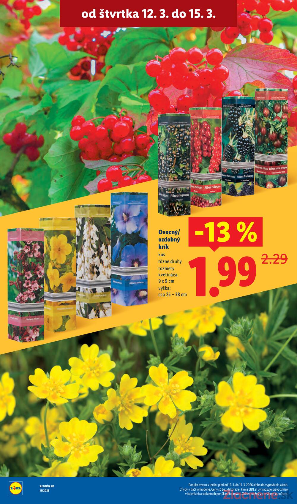 Lidl Štvrtok 12.3. - 15.3.