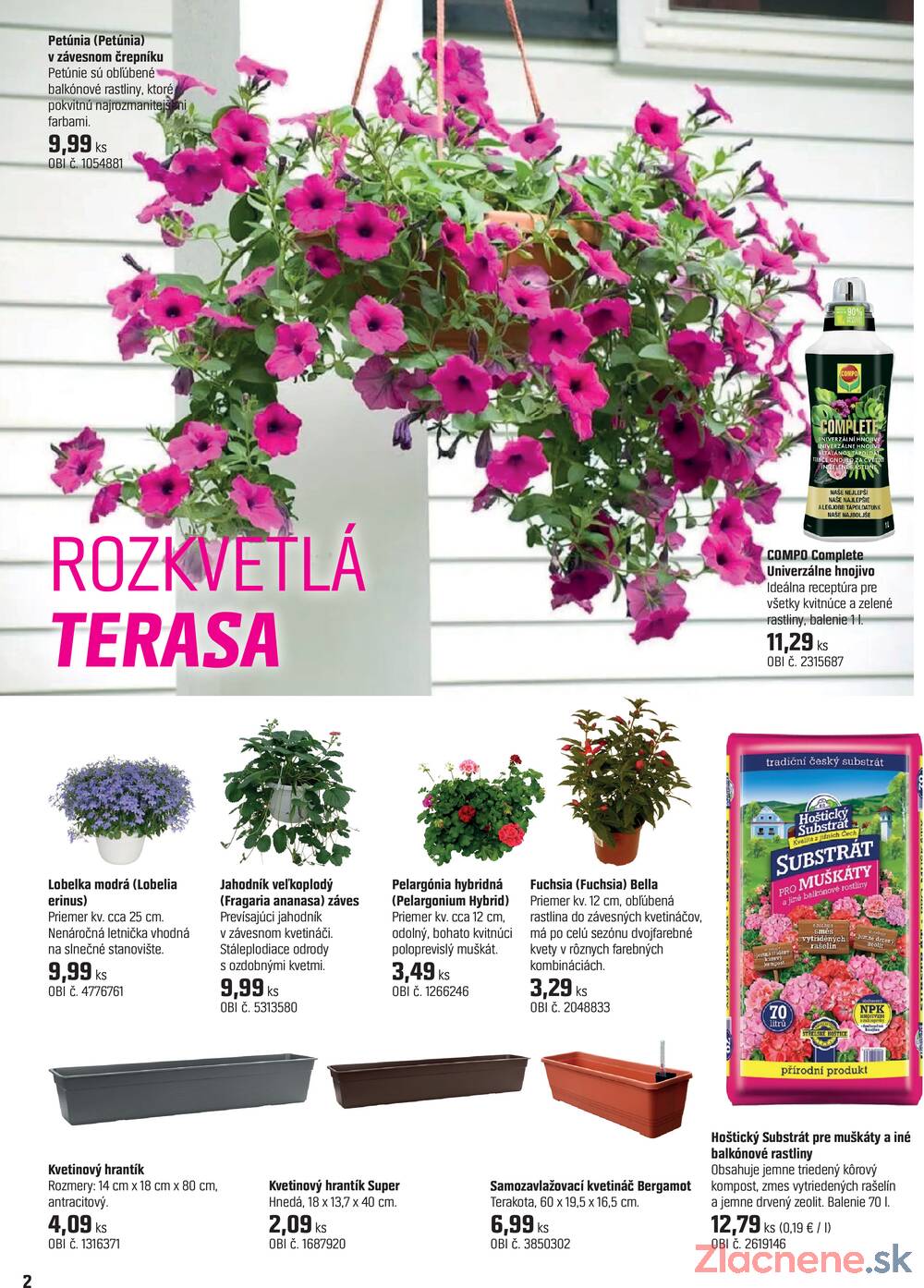 Leták OBI - OBI Magazín rastlín od 14.4. do 14.5.2026 - strana 2