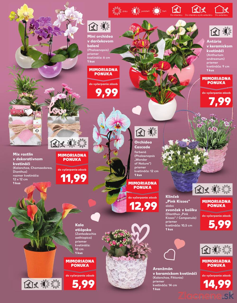 Kaufland 7.5. - 13.5. - Kaufland Rožňava