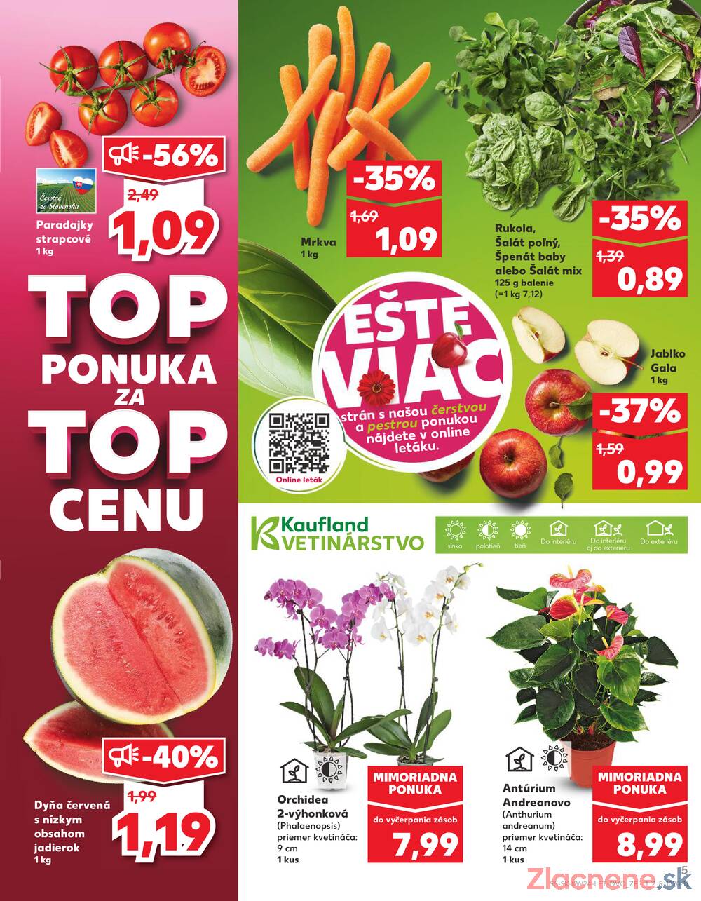 Leták Kaufland - Kaufland 11.6. - 17.6. - Kaufland Trebišov - strana 5