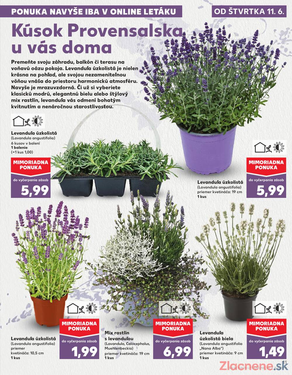 Kaufland 11.6. - 17.6. - Kaufland Košice-Pri hati