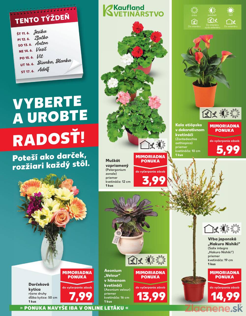 Kaufland 11.6. - 17.6. - Kaufland Považská Bystrica - Centrum