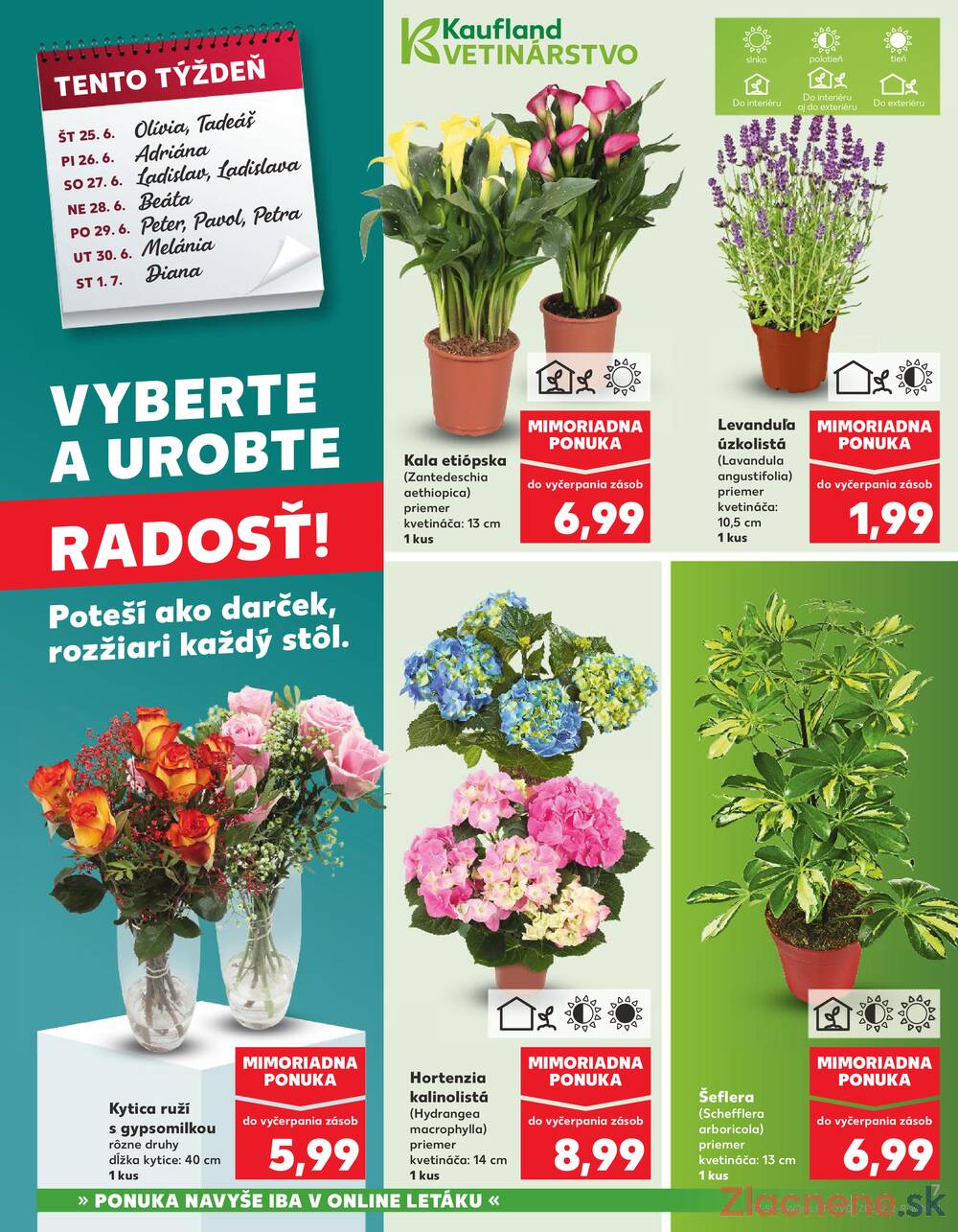 Kaufland 25.6. - 1.7. - Kaufland Žiar nad Hronom
