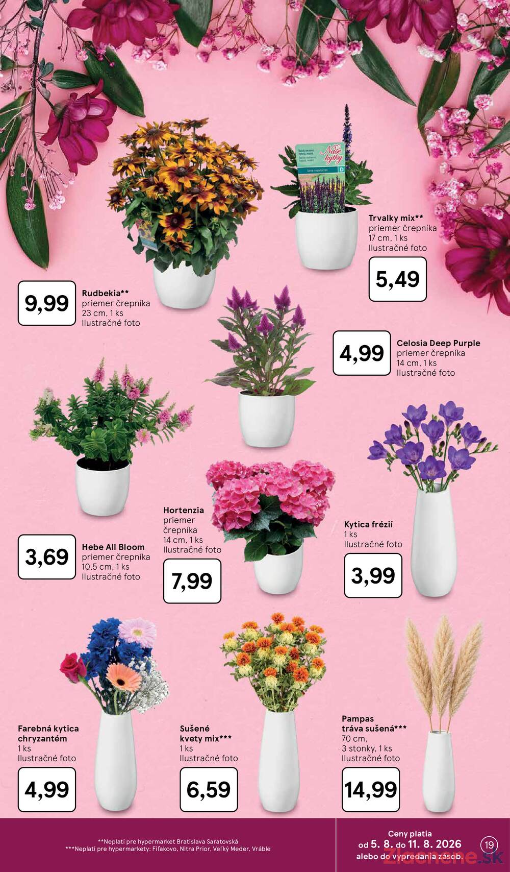 Leták Tesco - Tesco hypermarkety 5.8. - 11.8. - strana 19 Leták Tesco - Tesco hypermarkety 5.8. - 11.8. - strana 19