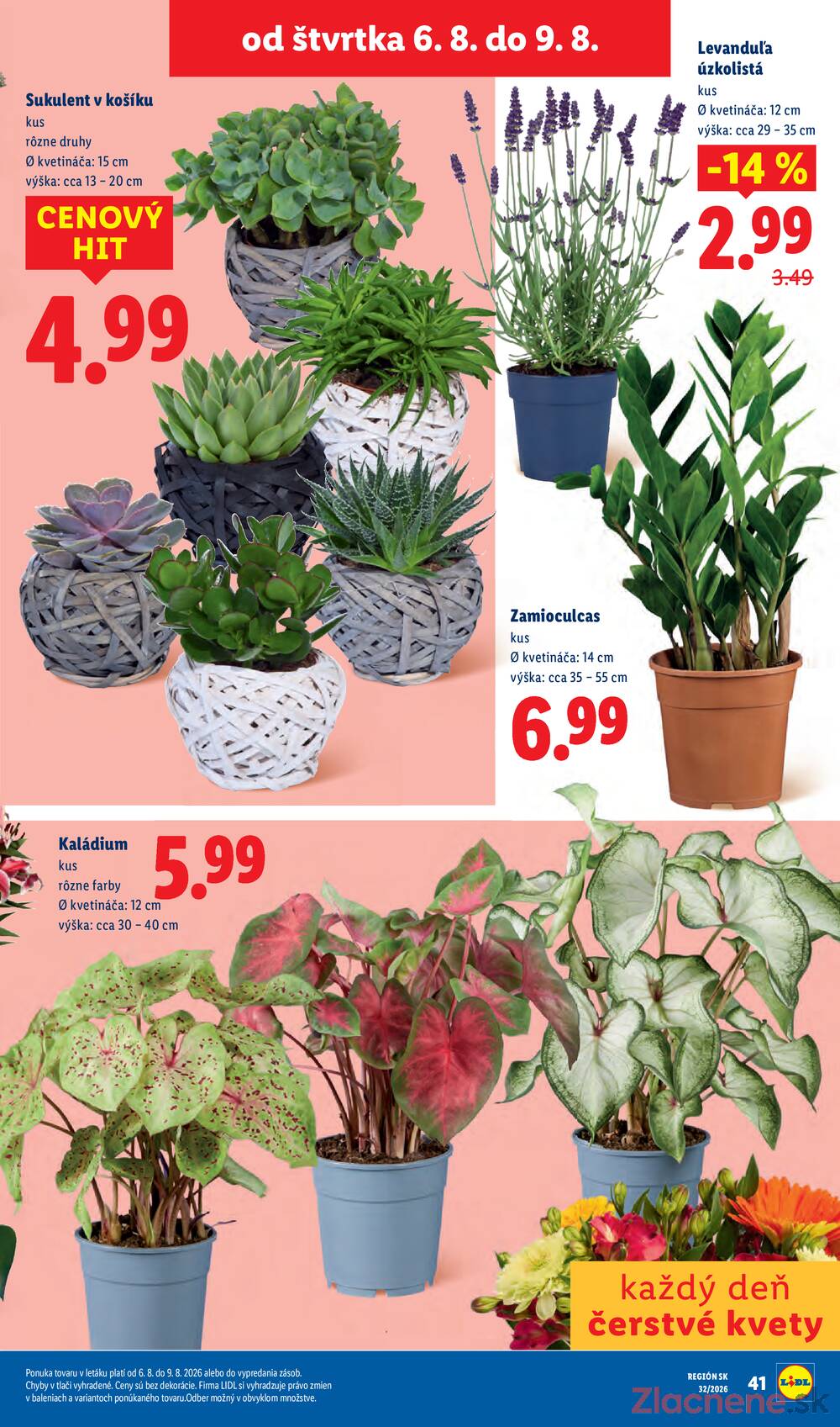 Leták Lidl - Lidl do 9.8. - strana 95 Leták Lidl - Lidl do 9.8. - strana 95