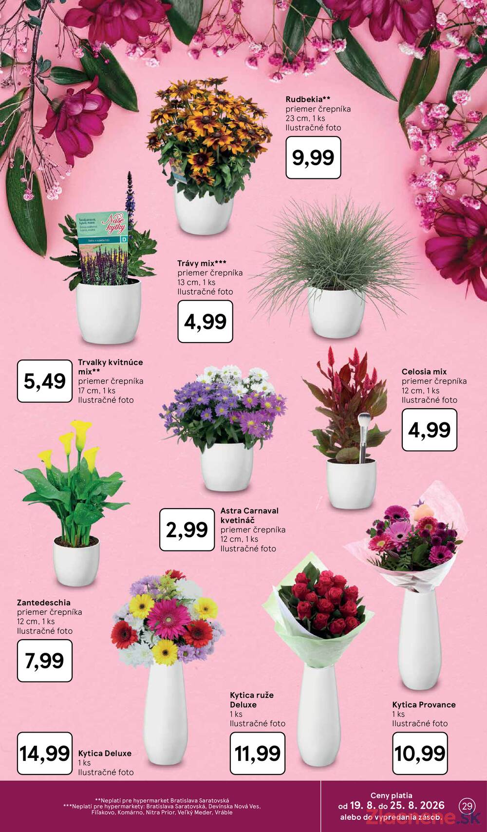 Leták Tesco - Tesco hypermarkety 19.8. - 25.8. - strana 29 Leták Tesco - Tesco hypermarkety 19.8. - 25.8. - strana 29