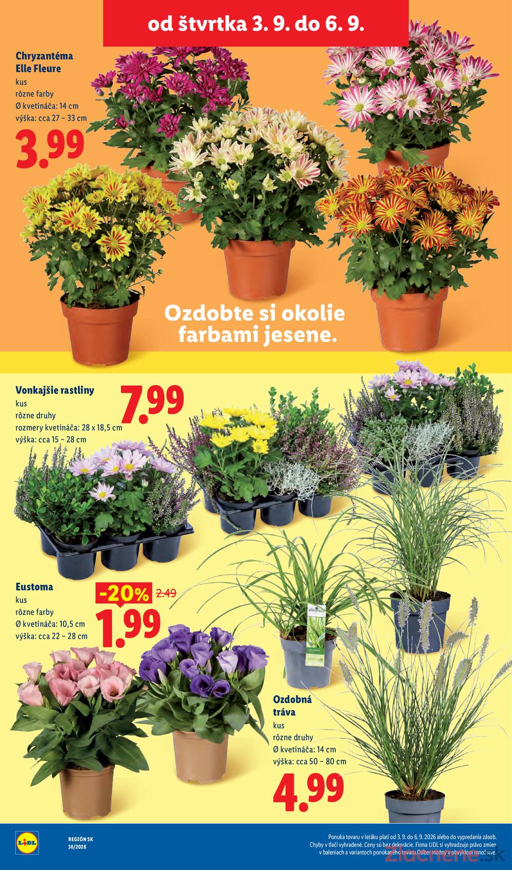 Lidl do 6.9.