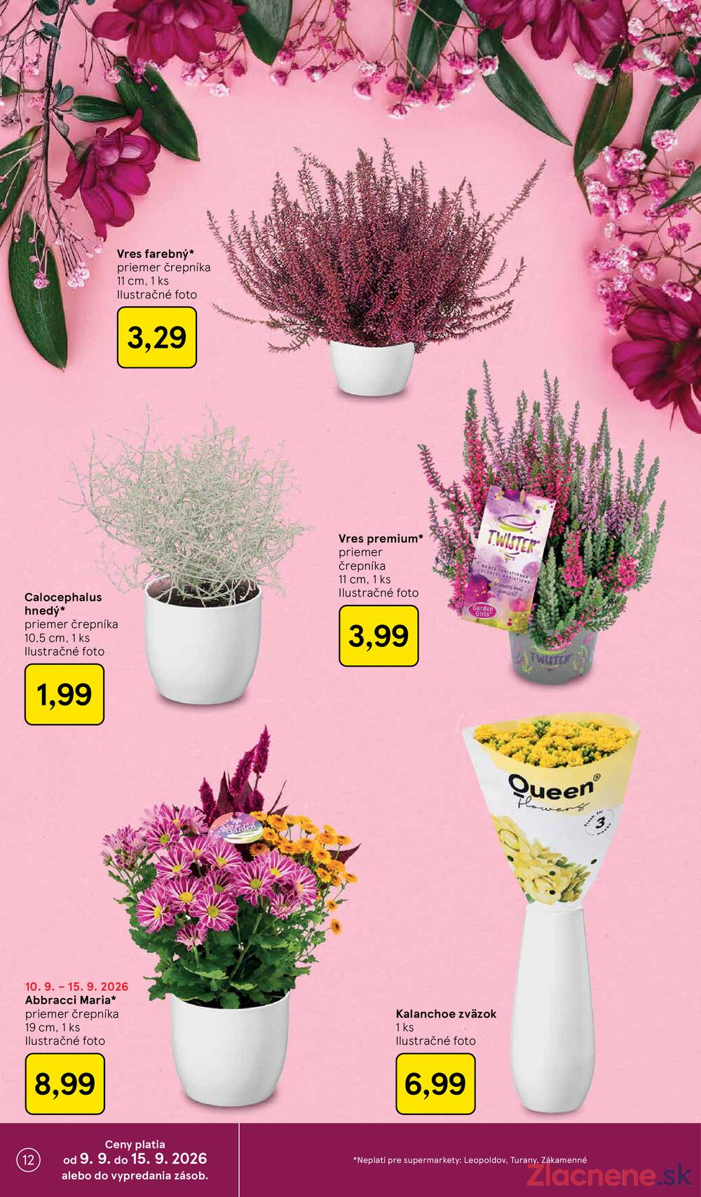 Tesco supermarkety od 9.9. do 15.9.2026