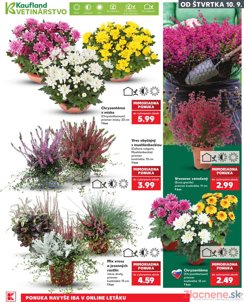 Kaufland 10.9. - 16.9. - Kaufland Rožňava