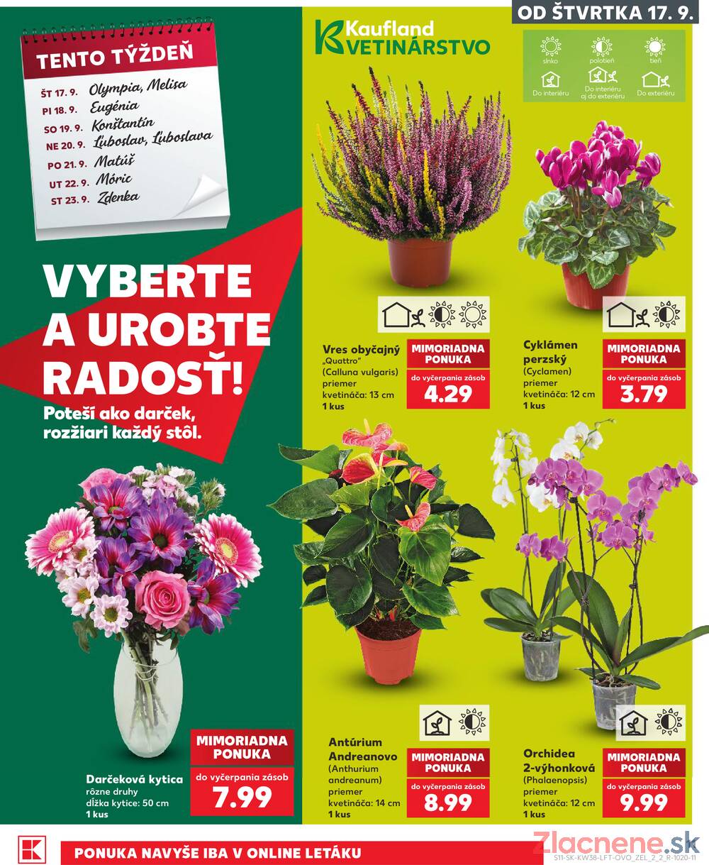 Kaufland 17.9. - 23.9. - Kaufland Trnava - Juh - Bratislavská