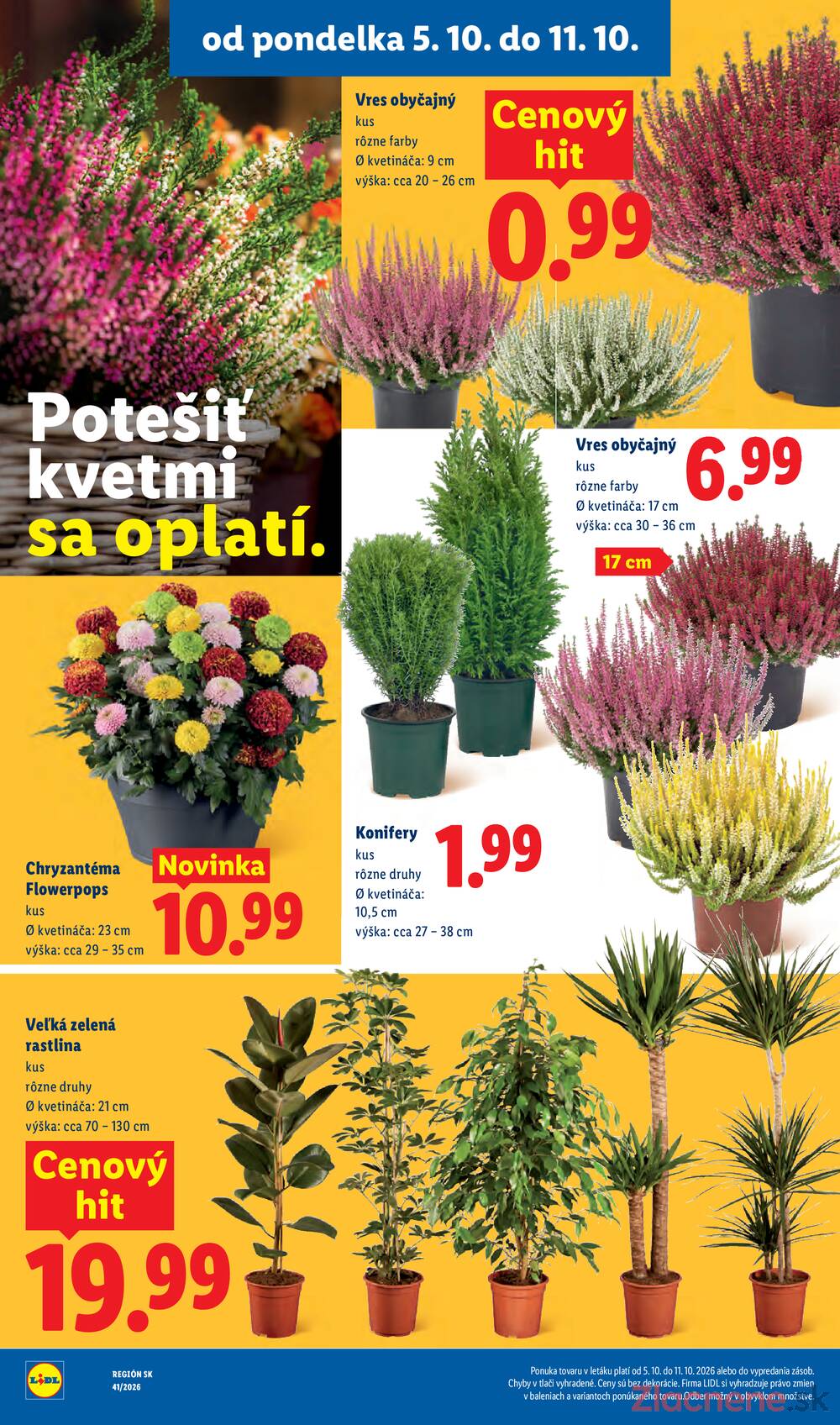 Lidl do 11.10.
