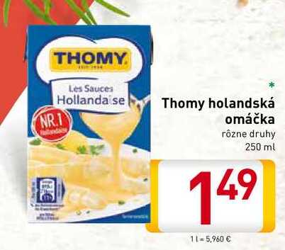   Thomy holandská omáčka 250 ml                                           