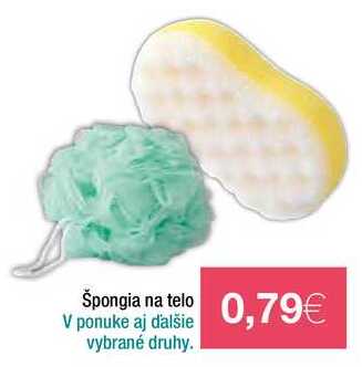 Špongia na telo