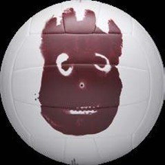 Volejbalová lopta »Mr.Wilson«