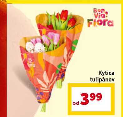 Bon Via Flora Kytica tulipánov 
